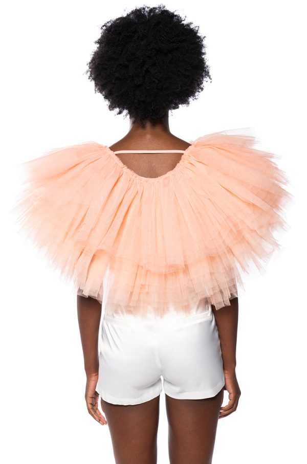 TURNING HEADS TEXTURED TULLE TOP Sale