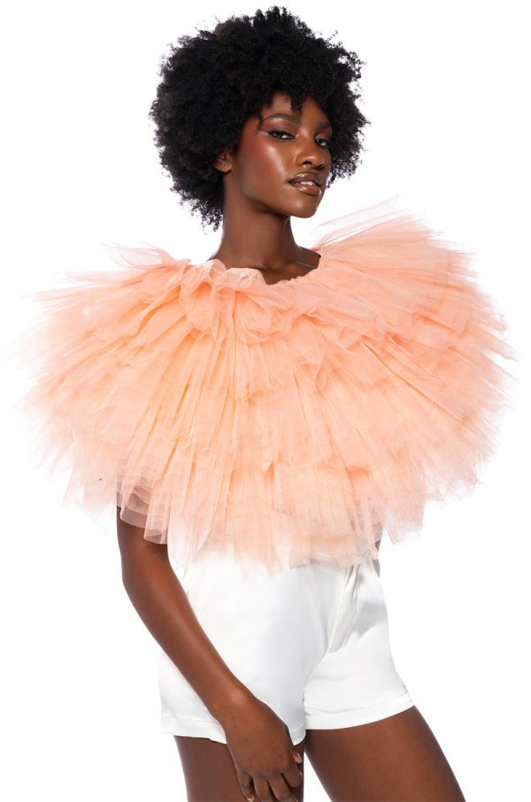 TURNING HEADS TEXTURED TULLE TOP Sale