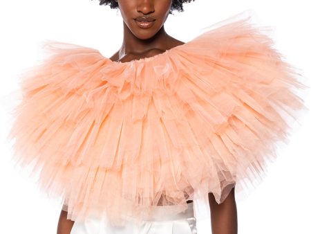 TURNING HEADS TEXTURED TULLE TOP Sale