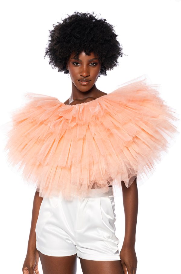 TURNING HEADS TEXTURED TULLE TOP Sale